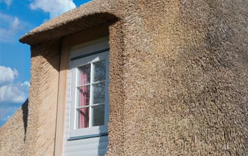 Astcote thatch roof disadvantages